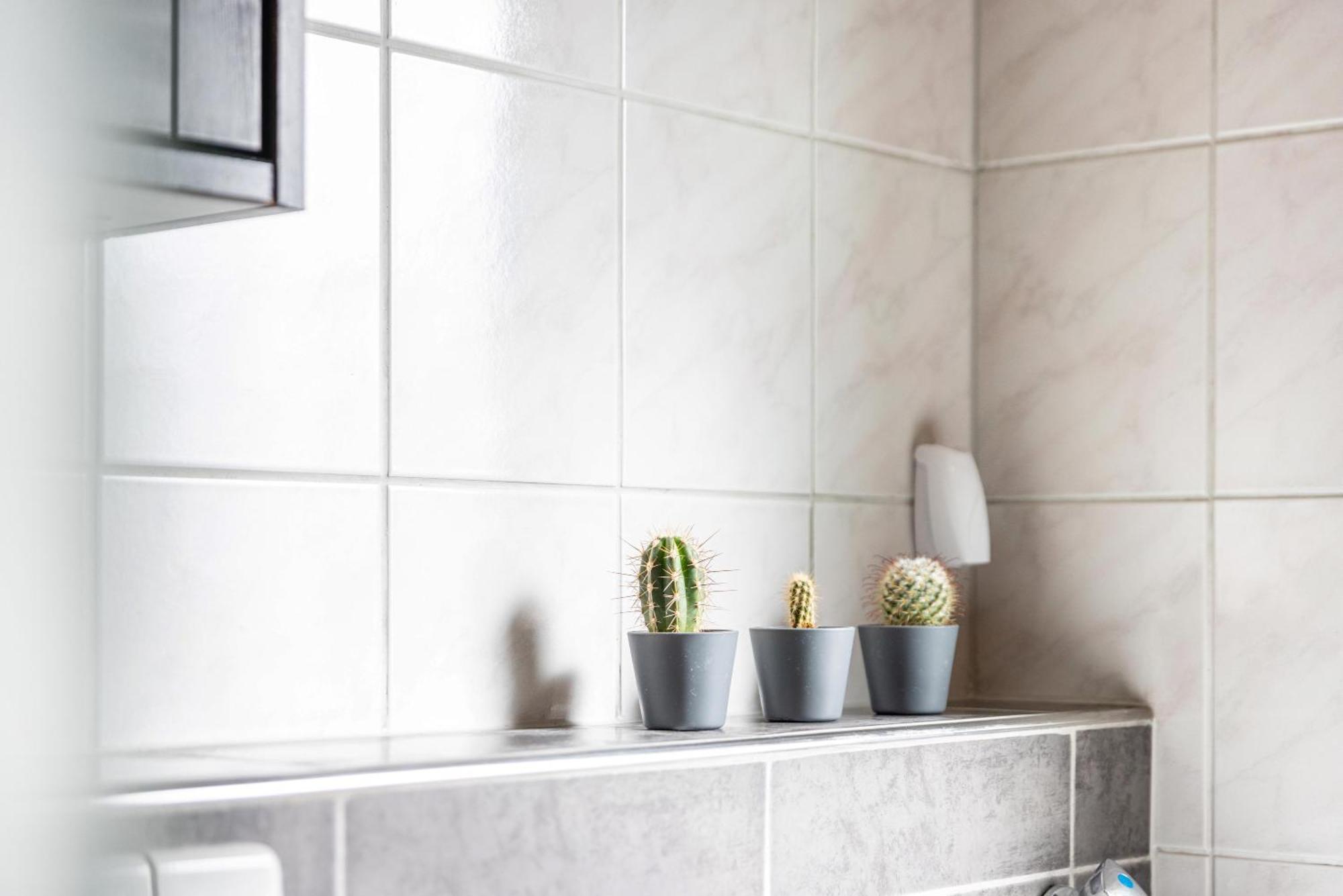 Suedalb Appartement Albstadt Buitenkant foto